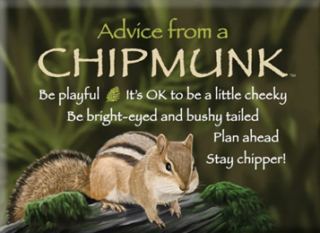 Advice from a Chipmunk 🌿