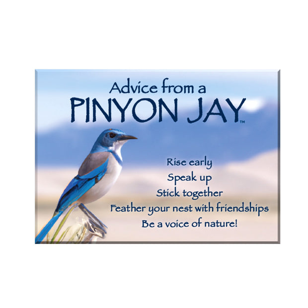 Advice from a Pinyon Jay Jumbo Magnet