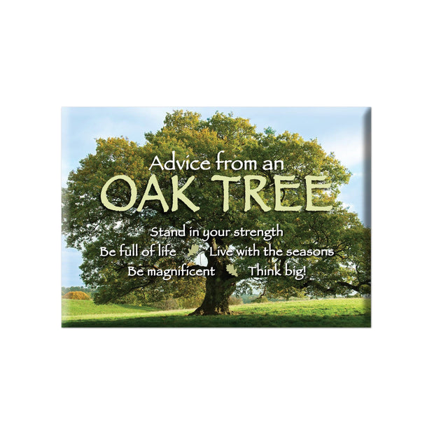 Advice from Advice from an Oak Tree Jumbo Magnet