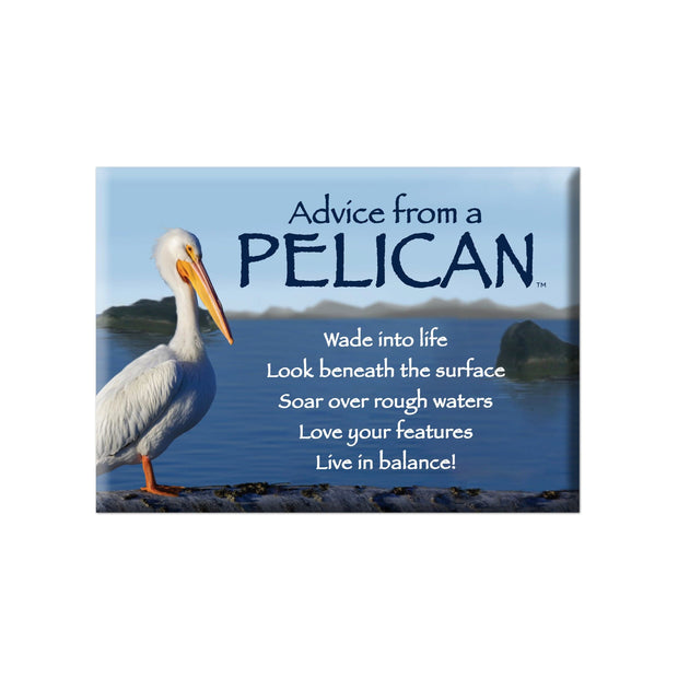 Advice from a Pelican Jumbo Magnet