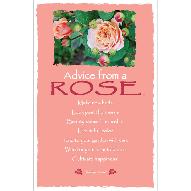 Advice from a Rose Frameable Art Card