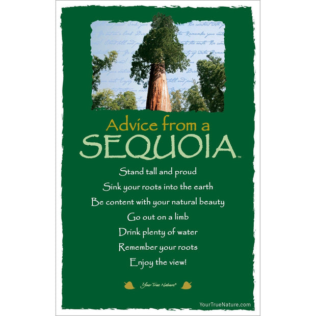 Advice from a Sequoia Frameable Art Card