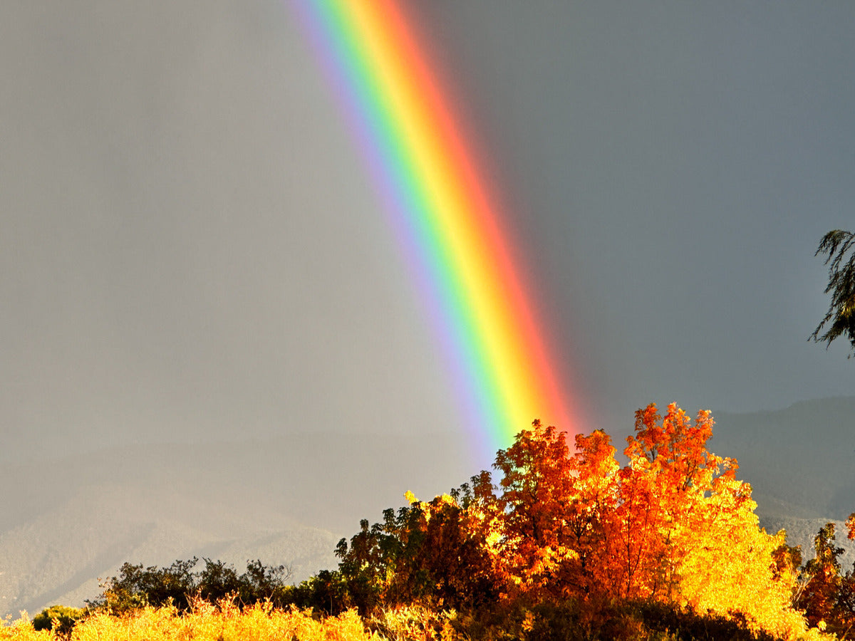 その他 FLAEW Chasing Rainbow Chasing rainbows, one flight at a time. 🌈✈️ Book now at