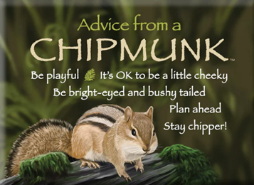 Advice from a Chipmunk 🌿 – Advice For Life