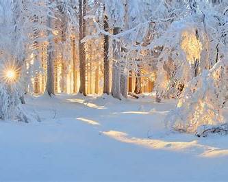 How Nature Helps Us Relax During the Holiday Season