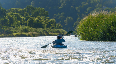 Survive and Thrive: Lessons from Nature