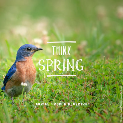 Embracing the Early Spring: A Seasonal Saga 🌱