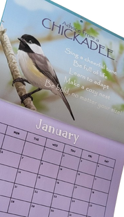 2025 Calendar - Birds, Bees, Flowers & Trees Edition