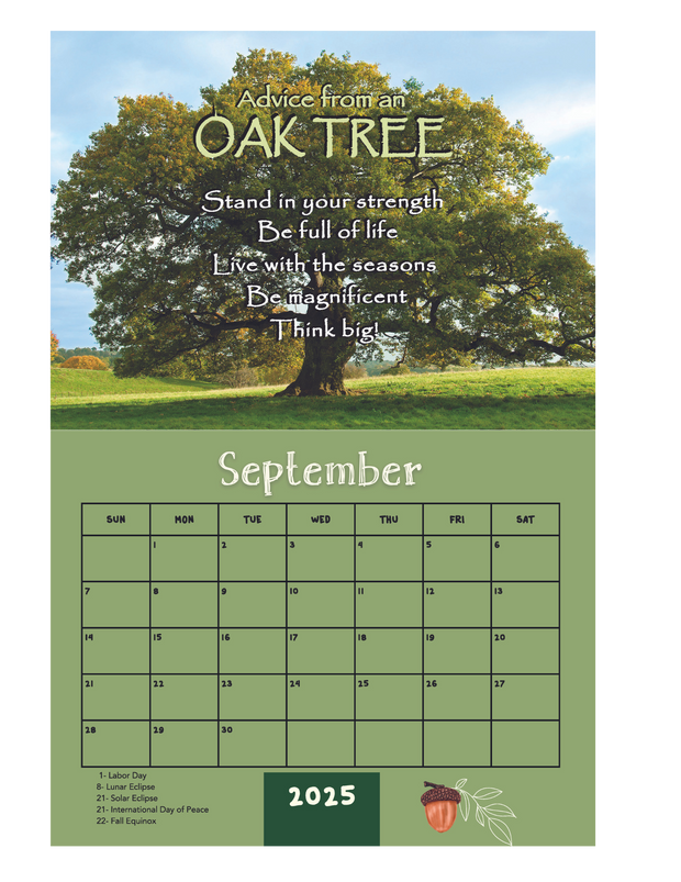 2025 Calendar - Birds, Bees, Flowers & Trees Edition