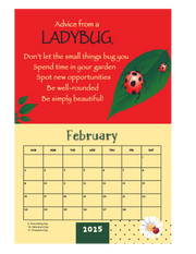 2025 Calendar - Birds, Bees, Flowers & Trees Edition