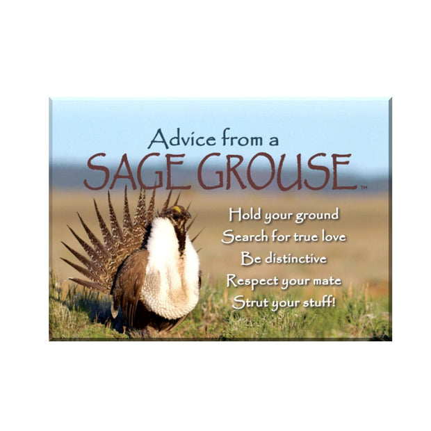 Advice from a Sage Grouse Jumbo Magnet