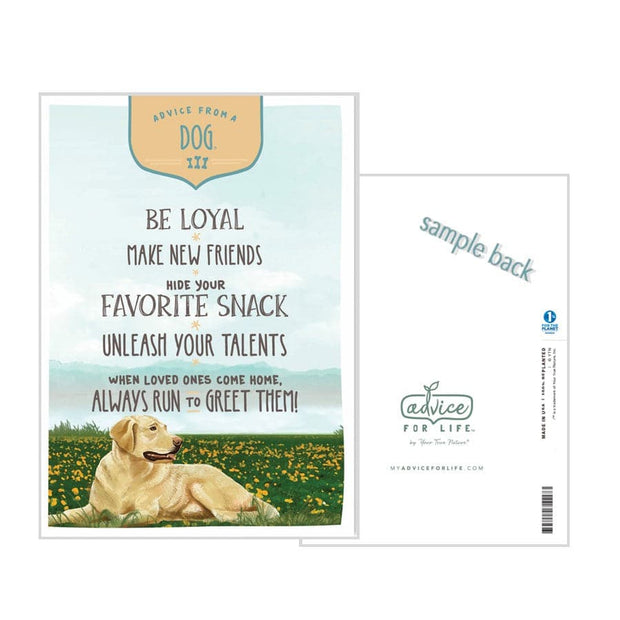 Advice from a Dog Greeting Card