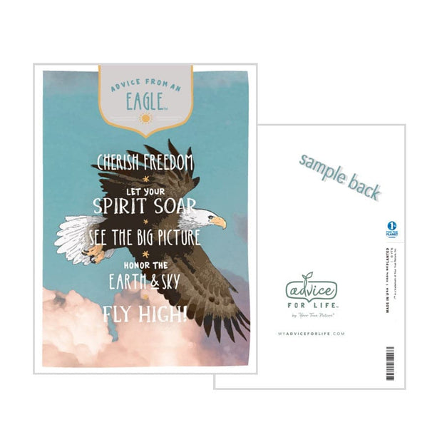 Advice from an Eagle Greeting Card