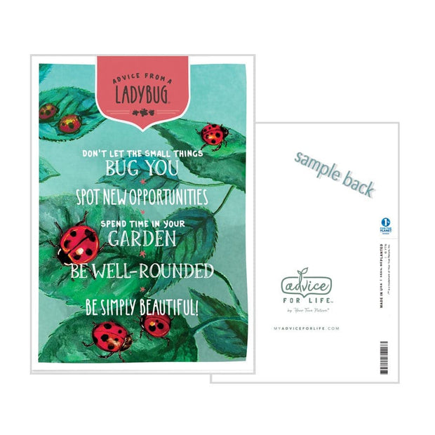 Advice from a Ladybug Greeting Card - Blank