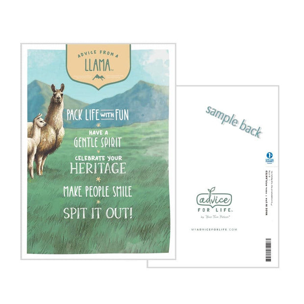 Advice from a Llama Greeting Card