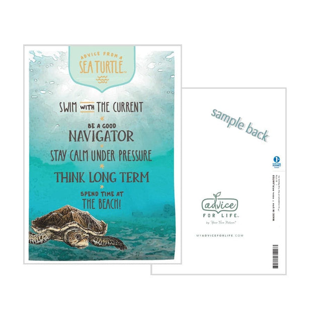 Advice from a Sea Turtle Greeting Card
