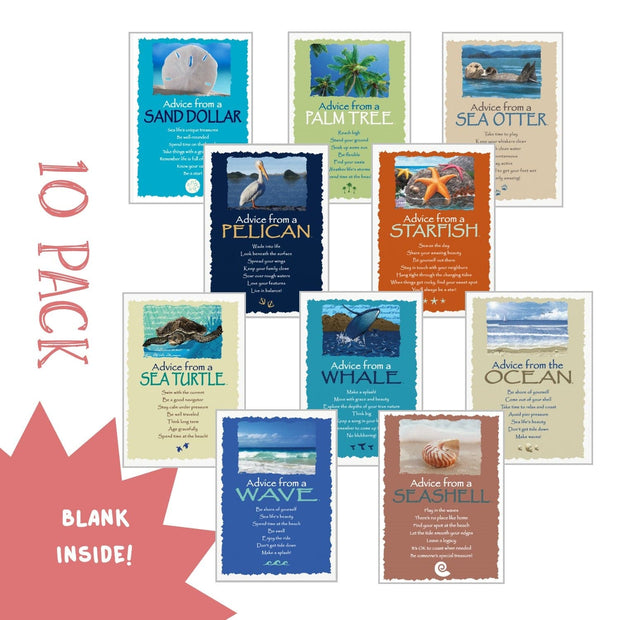 Oceanside Beauty - Classic Greeting Card 10 Pack