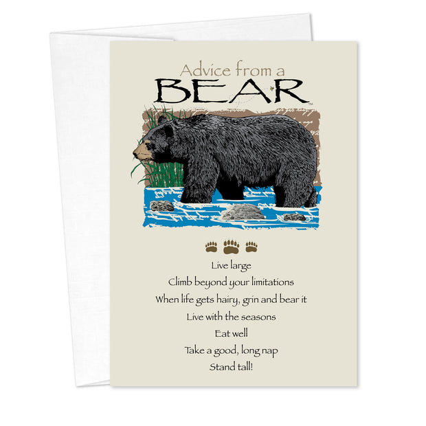 Advice from a Bear Birthday Card