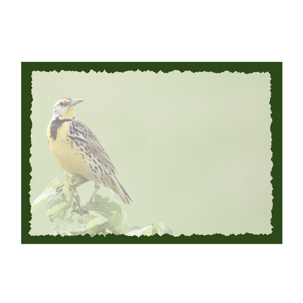 Advice from a Meadowlark-Greeting Card