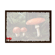Advice from a Mushroom-Greeting Card