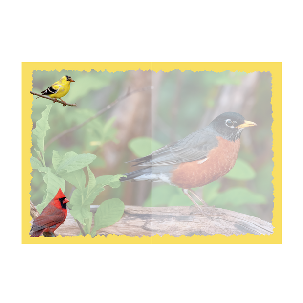Advice from a Songbird-Greeting Card