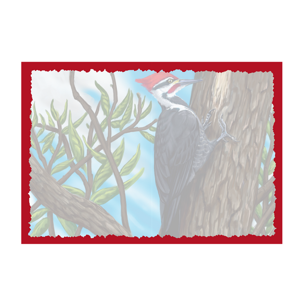 Advice from a Woodpecker-Greeting Card