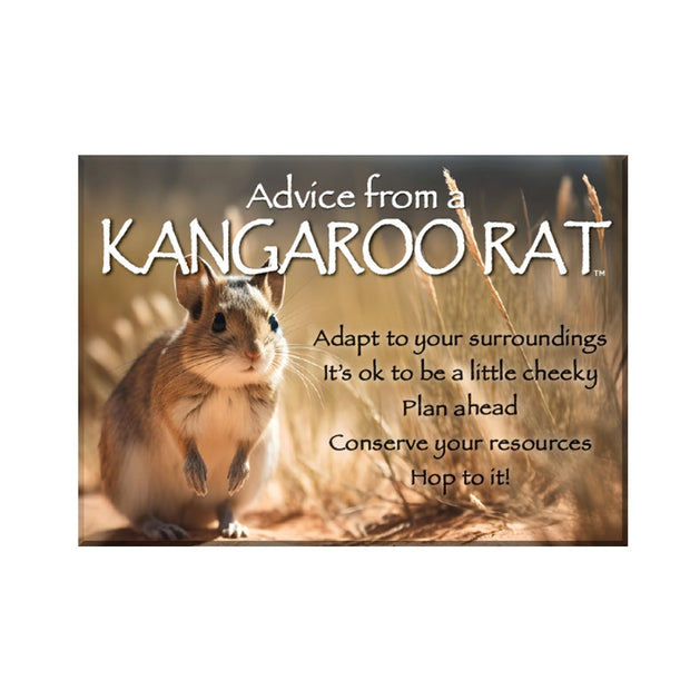 Advice from a Kangaroo Rat Magnet