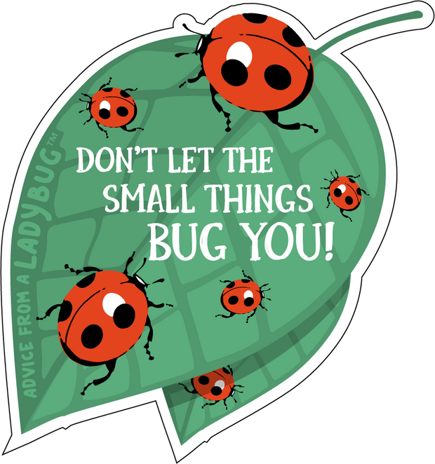 Advice from a Ladybug- Large Sticker