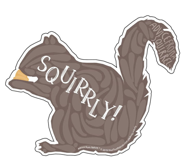Advice from a Squirrel Sticker