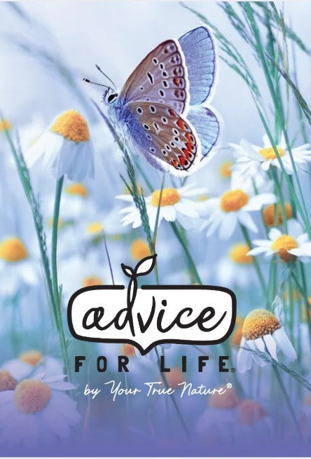 Tree planted for every $20 you purchase | Free Folder