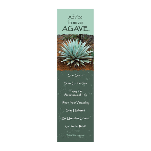 Advice from an Agave Laminated Bookmark