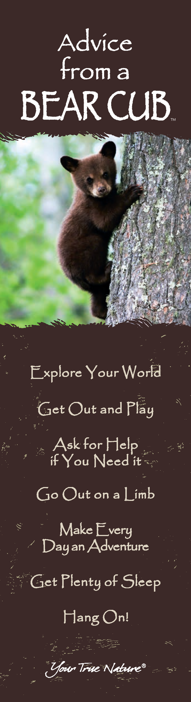 Advice from a Bear Cub Laminated Bookmark