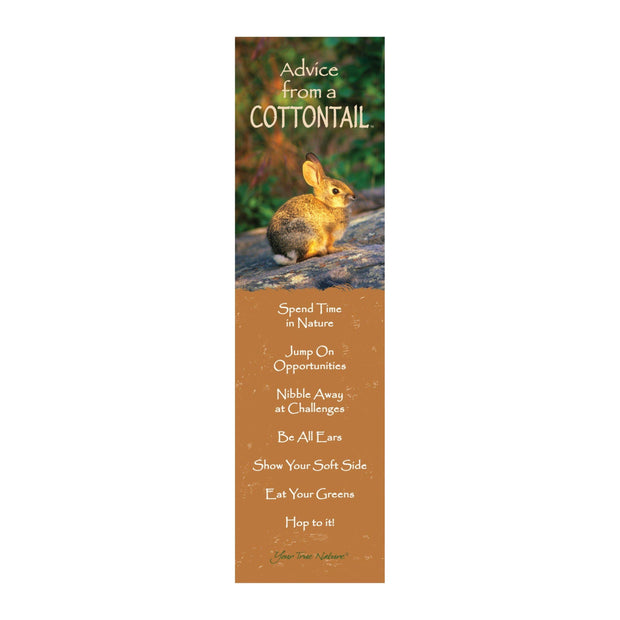 Advice from a Cottontail Laminated Bookmark
