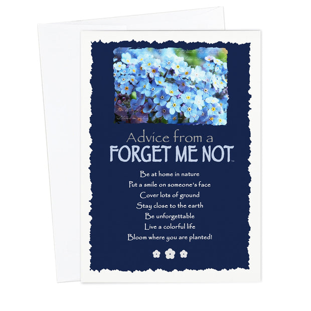 Advice from a Forget Me Not Greeting Card