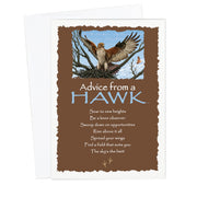 Advice from a Hawk Greeting Card