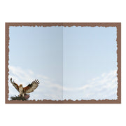 Advice from a Hawk Greeting Card