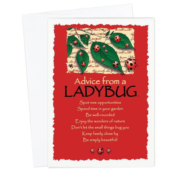 Advice from a Ladybug Greeting Card