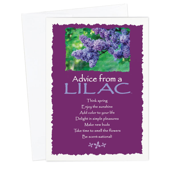 Advice from a Lilac Greeting Card