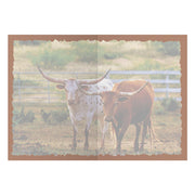 Advice from a Longhorn Greeting Card