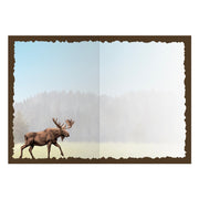 Advice from a Moose Greeting Card