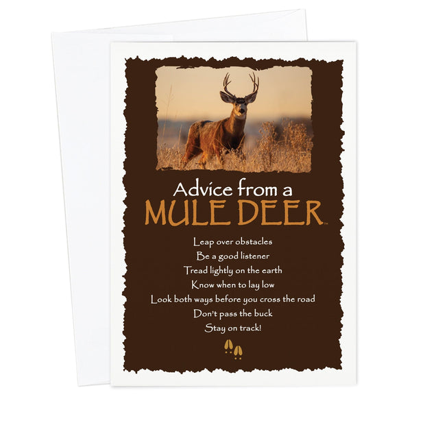 Advice from a Mule Deer Greeting Card