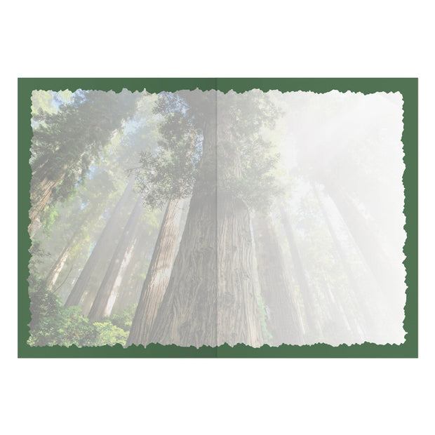 Advice from a Redwood Greeting Card
