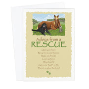 Advice from a Rescue Greeting Card