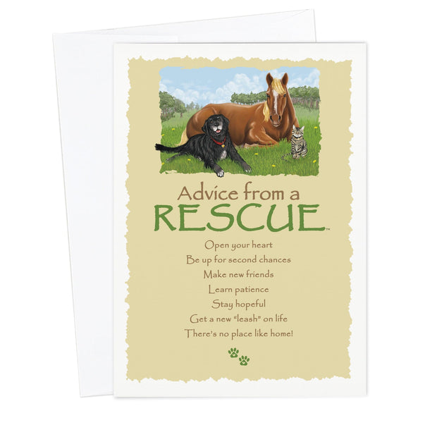 Advice from a Rescue Greeting Card