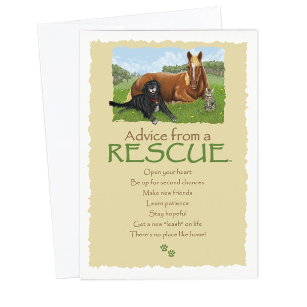 Advice from a Rescue Greeting Card – Advice For Life
