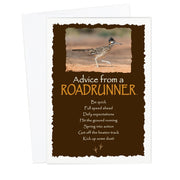 Advice from a Roadrunner Greeting Card