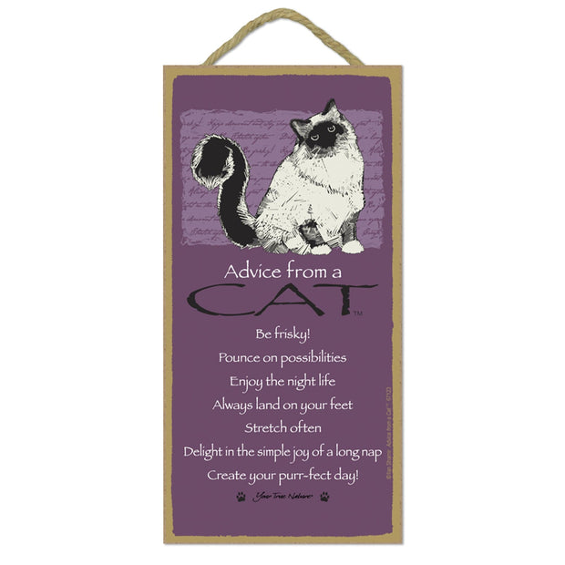Advice from a Cat Wooden Sign