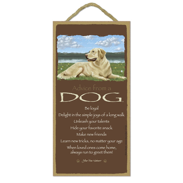 Advice from a Dog Wooden Sign