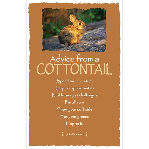 Advice from a Cottontail - Frameable Art Card