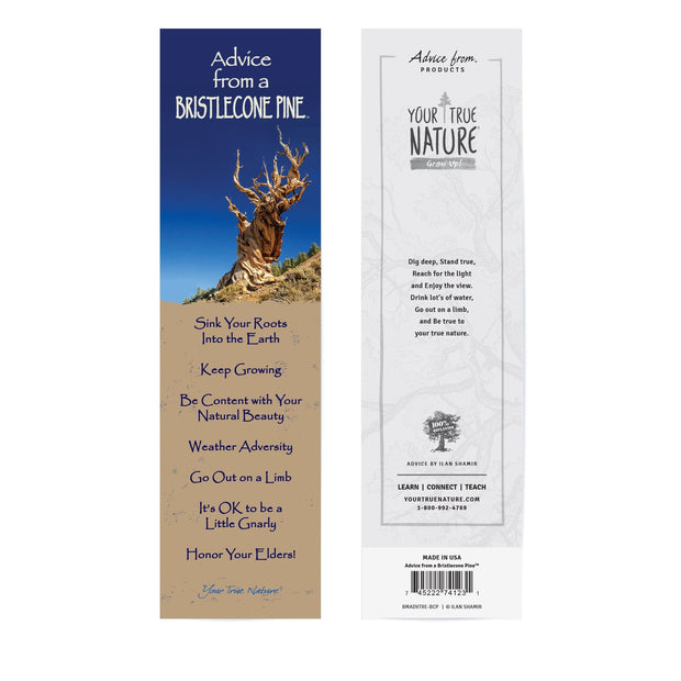 Advice from a Bristlecone Pine Laminated Bookmark